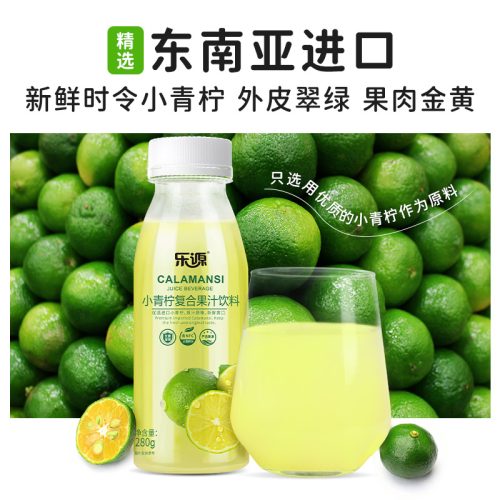 乐源小青柠280g*8瓶*1箱